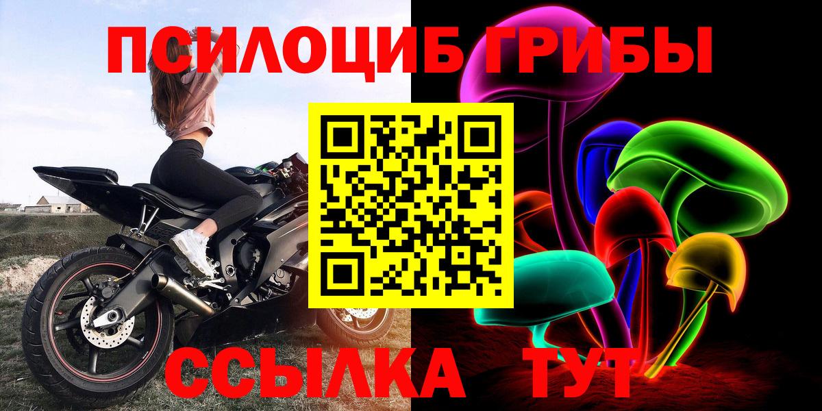 Псилоцибиновые грибы прущие грибы Тимашёвск