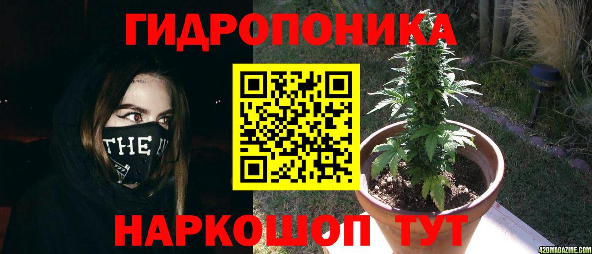 Конопля план  Бошки марихуана план  Тимашёвск  Вход с VPN 